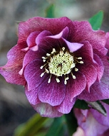 105-9109.jpg