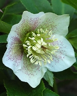 116-9189.jpg