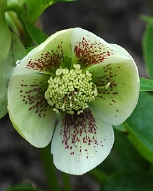 117-9193.jpg