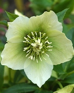 124-9207.jpg