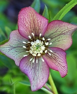 126-9229.jpg