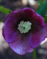 128-9232.jpg