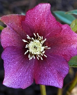 130-9237.jpg