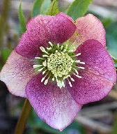 136-9249.jpg