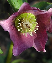 137-9251.jpg