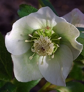 138-9253.jpg