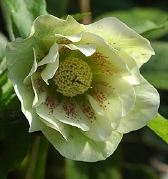 140-9257.jpg