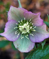 141-9259.jpg