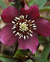153-9519.jpg