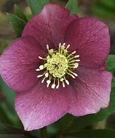 159-9531.jpg