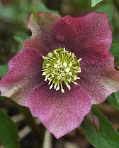162-9538.jpg