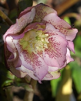170-0151.jpg