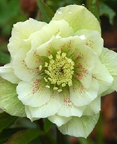 182-0415.jpg