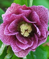 183-0417.jpg
