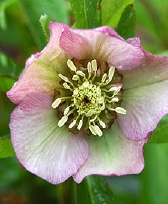 184-0420.jpg