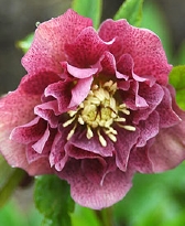 188-0427.jpg