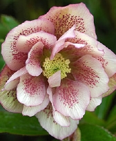 189-0429.jpg