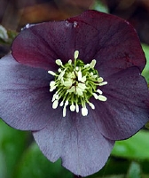 190-0431.jpg