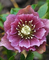 192-0435.jpg