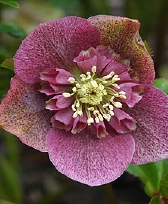 193-0437.jpg