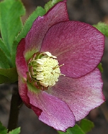 45-8362.jpg