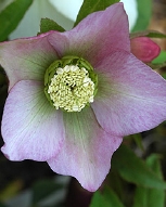48-8369.jpg