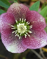 70-8566.jpg