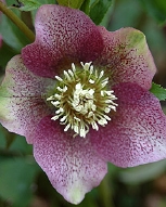 89-8920.jpg