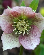 90-8923.jpg