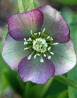 94-9070.jpg