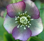 94-9070.jpg