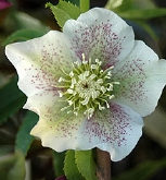 97-9076.jpg