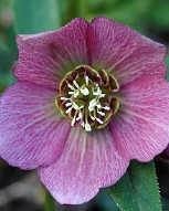 98-9078.jpg