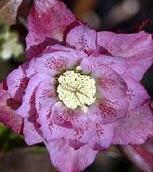 BY150-0712.jpg