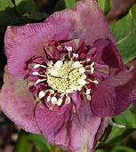 BY165-0745.jpg