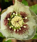 BY173-0786.jpg