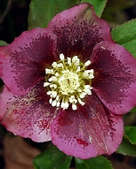 P44-8261.jpg