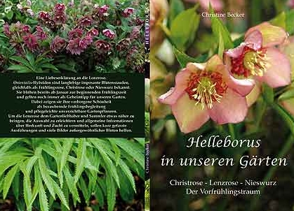 zzzzzzzzzHelleborus.jpg